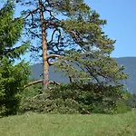 Rheinischer Hof Готель 4*