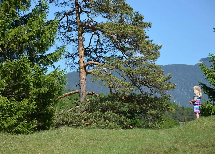 Rheinischer Hof Hotel 4*