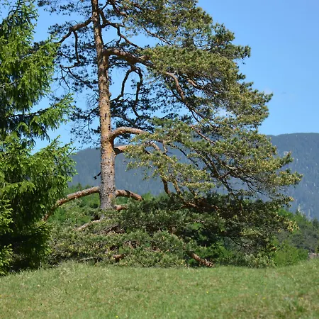 Rheinischer Hof Hotel 4*