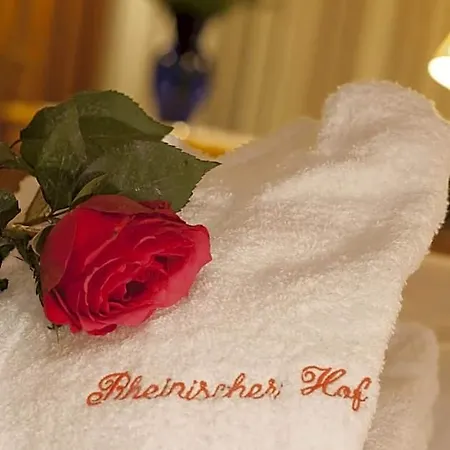 Rheinischer Hof Отель 4*