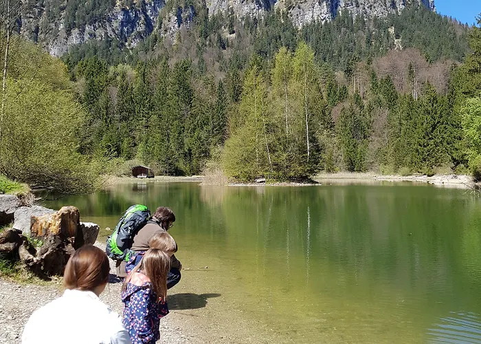 Rheinischer Hof Готель 4*